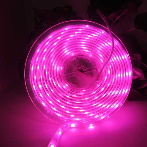 5050 RGB LED strip-pink